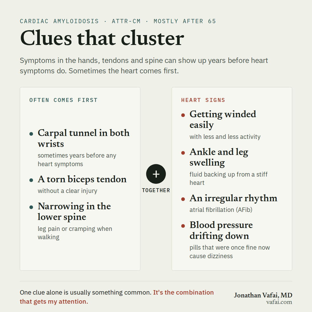 Spotting the Hidden Signs of Cardiac Amyloidosis (ATTR-CM)